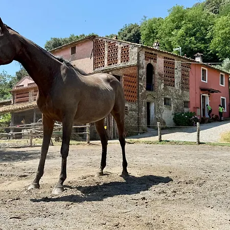 Casa Le Briglie * Santo Stefano