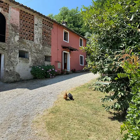 Casa Le Briglie * Santo Stefano (Lucca)