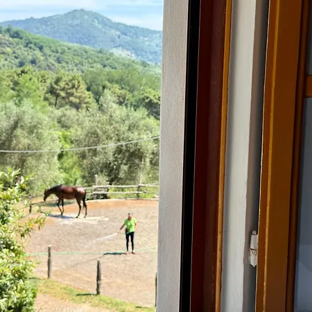 Casa Le Briglie Apartamento